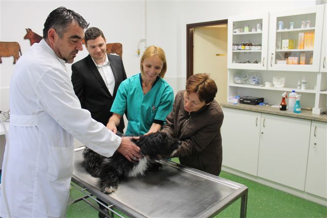 SUFINANCIRANJE STERILIZACIJE I KASTRACIJE PASA I MAČAKA