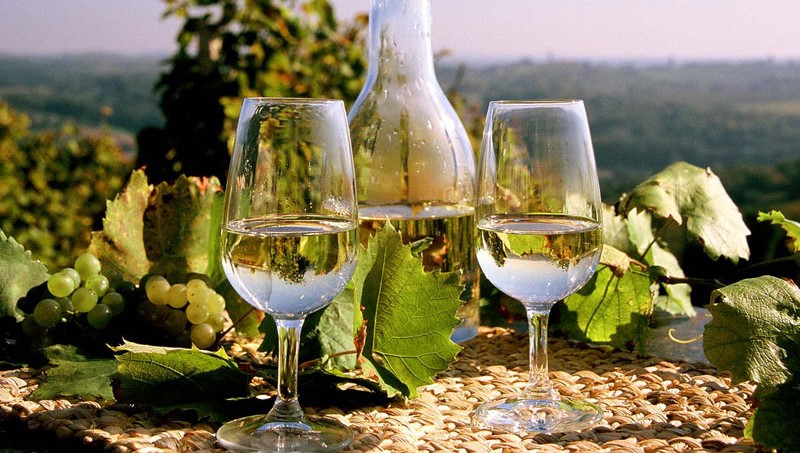 8. IZLOŽBA VINA VINOGRADARA I VINARA ŠKAF KRIŽ