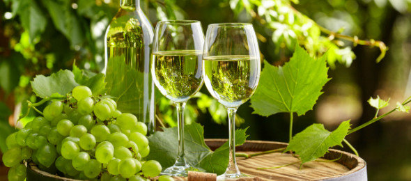 Poziv za sudjelovanje na 9. izložbi vina vinogradara i vinara udruge „ŠKAF“ Križ