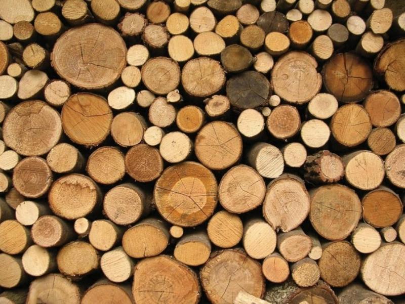 Obavijest korisnicima zajamčene minimalne naknade koji se griju na drva