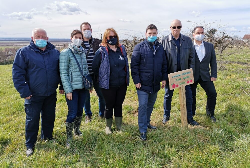 Nastavljena sadnja starih autohtonih sorti jabuka u voćnjaku Osnovne škole u Križu