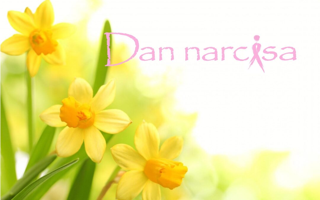 Dan narcisa u Općini Križ
