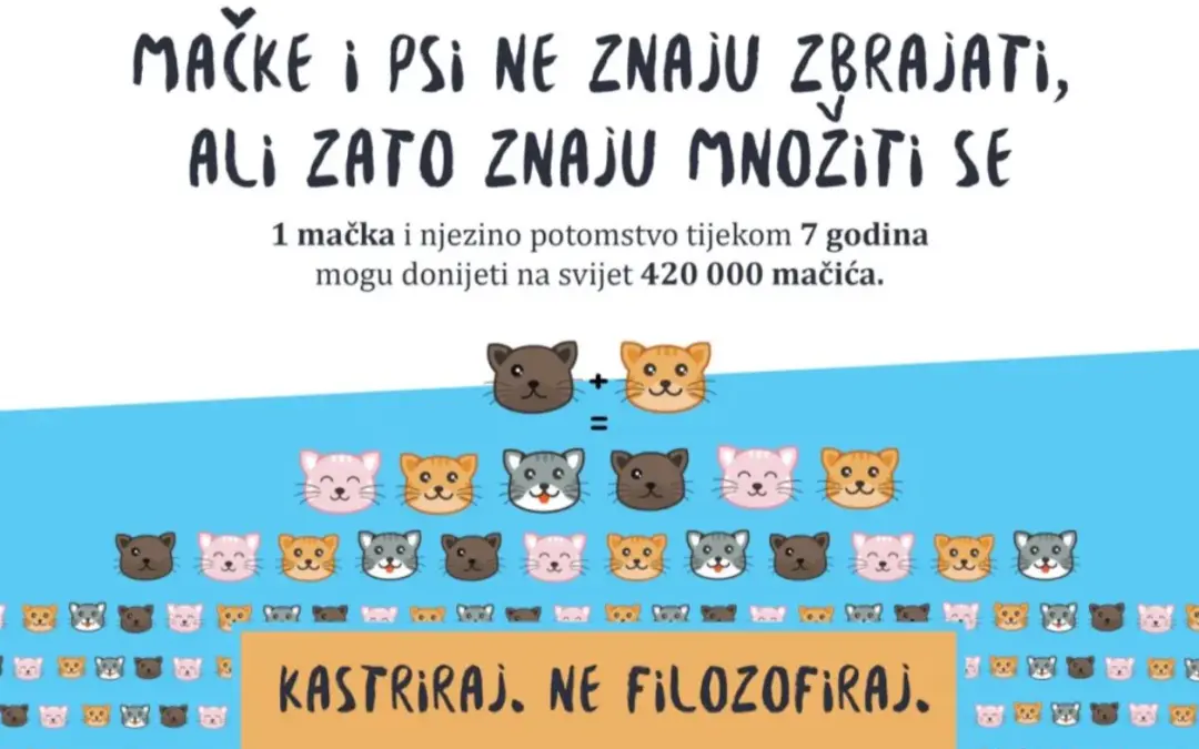 SUFINANCIRANJE KASTRACIJE I STERILIZACIJE PASA I MAČAKA