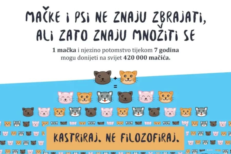 image_3_14519-1024x768