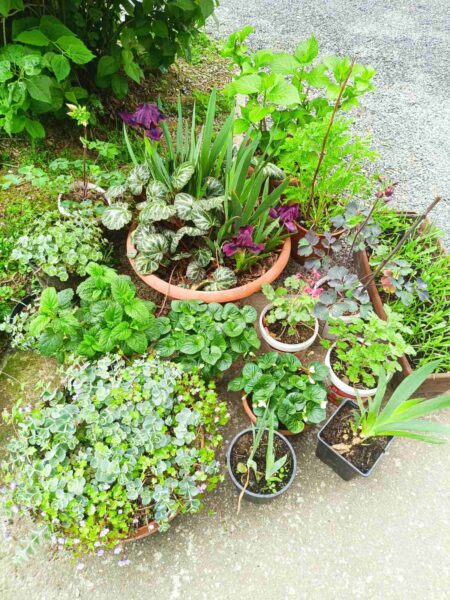 0-04-05-0e267abb28a8b4cc3050208e56eaeabde873626068cbe8b31d1d063a5c338cad_7994abea8723da40