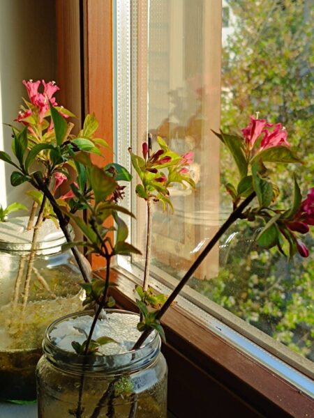 0-04-05-26953427785e662988e0848a775c295d6d5952e322d08f0a0e519de693e97902_55fc8aae358e06e9