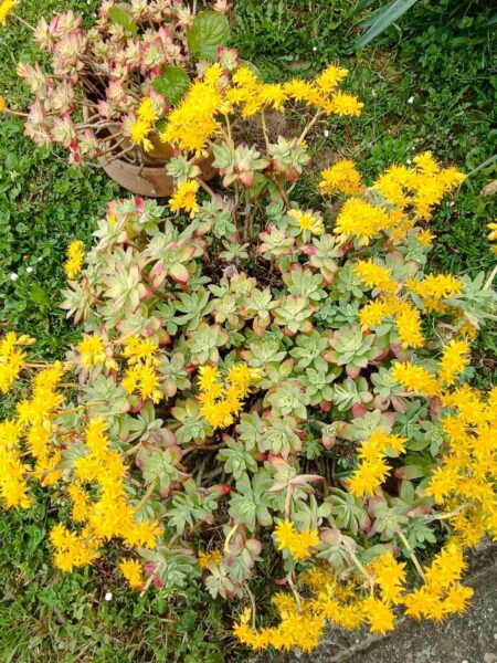 0-04-05-3d4024168aeca0e6d391e052b97693b5fb46083be53a87a29cfd457b773feb19_44ca486c7b25df8