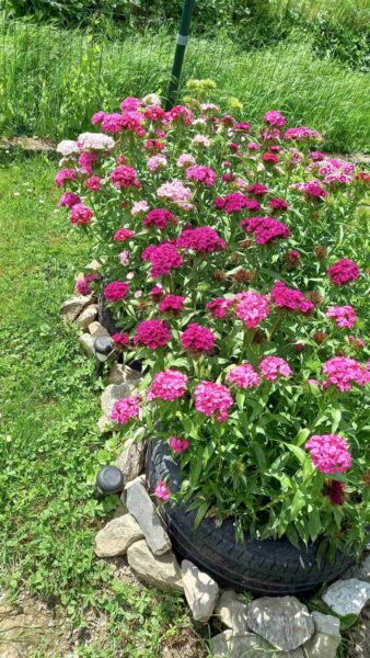 0-04-05-40d386c4b74acfbe754495dbc7fb9ea13832923d1a5e6fd825e3c97cbcc1b1df_1325a76f87edc712