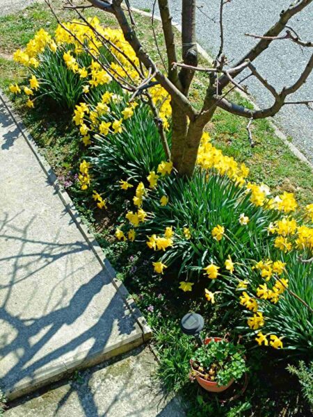 0-04-05-47e186ee7c9ea2aeadbac1796da49c85f8b93460a1327c1e92c65b9e15955b1f_6a8fc872150e646c