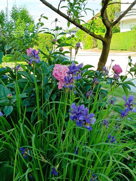 0-04-05-4b16392b7708e0094e84a25db3310a647ce974b3d229e172d9a47013f53c94a8_c2c3832c8b902079