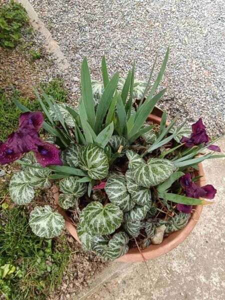 0-04-05-5498ef75a031f408c7101aa09ade9919d97f20f8d608657765925bedc53924fa_31aac1016374d3c0