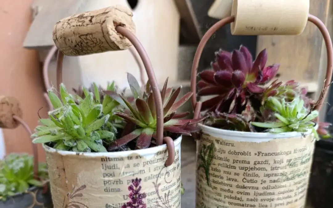 OBILJEŽAVANJE DANA PLANETA ZEMLJE 2026. GODINE U ORGANIZACIJI UDRUGE ŽENSKE RUKE