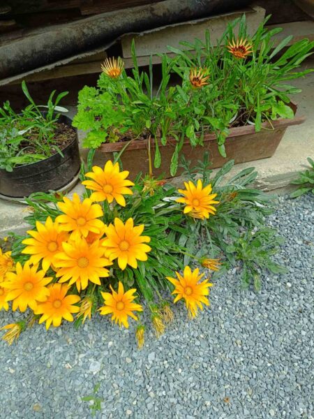 0-04-05-d858e91f5086d8ce2d7ec28ac77a003adc32b2b2afaa38ad01b92b238c44ab9e_5364b4cb2d11494f