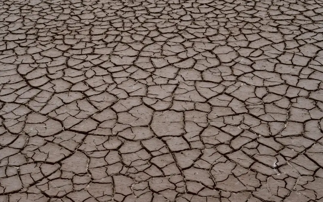 Objavljen novi Javni poziv za provedbu intervencije 78.a.01. &bdquo;Krizna plaćanja poljoprivrednicima nakon prirodnih katastrofa, nepovoljnih klimatskih prilika ili katastrofalnih događaja&ldquo;